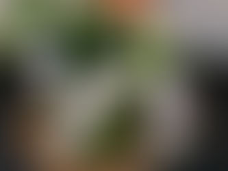 Soigner un rhume avec des huiles essentielles