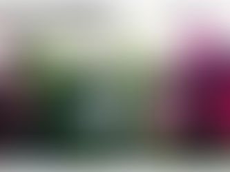 La cape de Cyrano de Bergerac