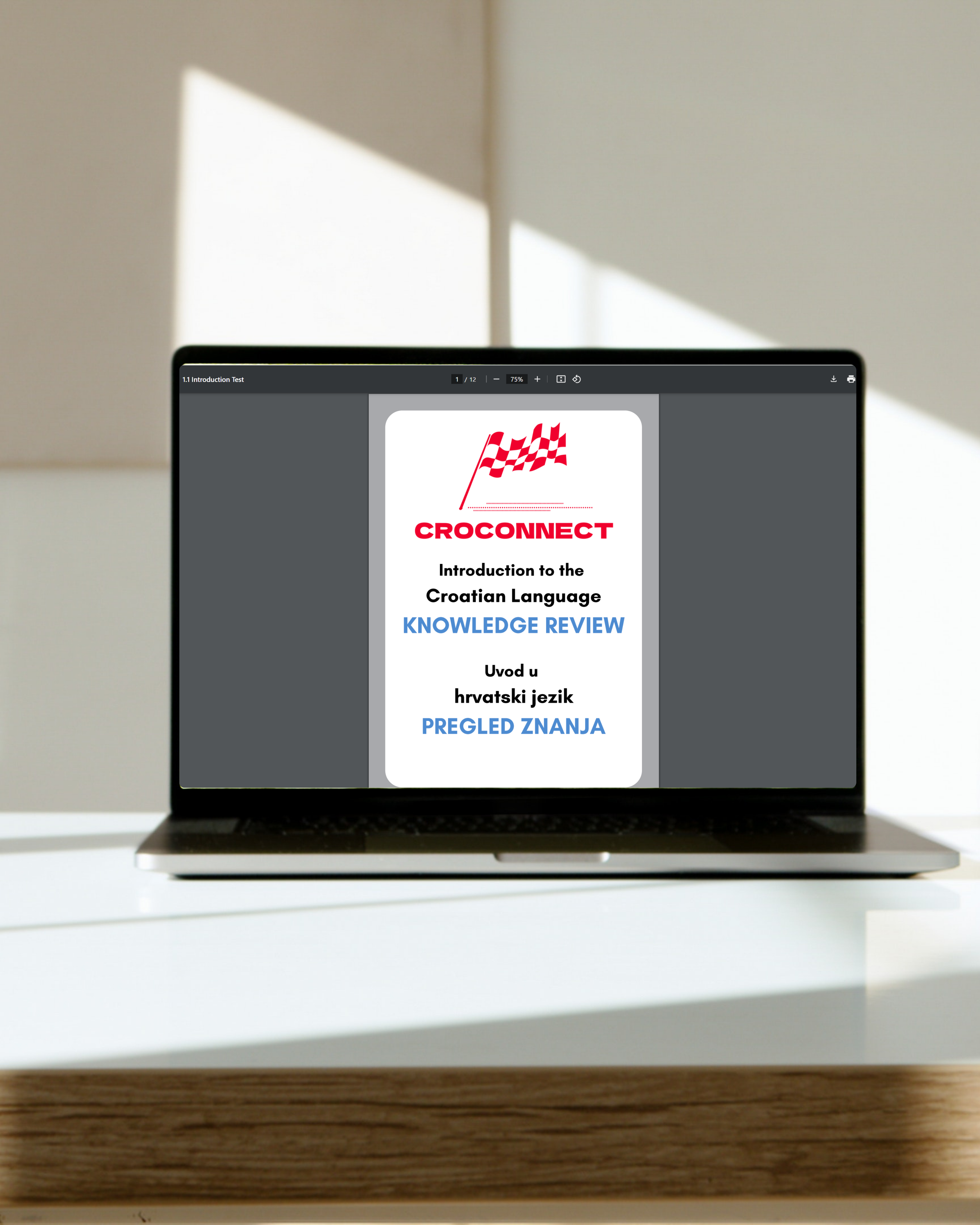 1.1 Knowledge Review (Digital)