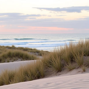 A coastal dune in Australia.jpg