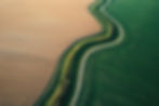 background1.jpg