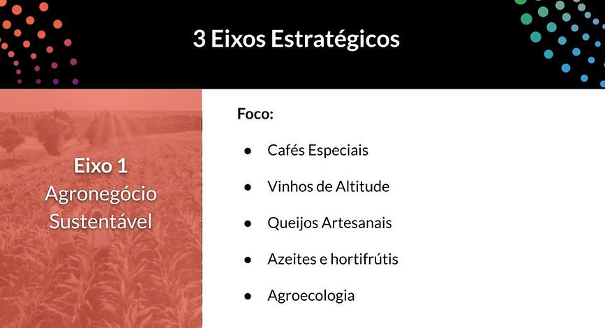 APRESENTAÇÃO FORUM CONEXÃO VULCÂNICA - VERSÃO SITE (31).jpg