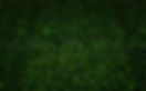 fresh grass hydroseed