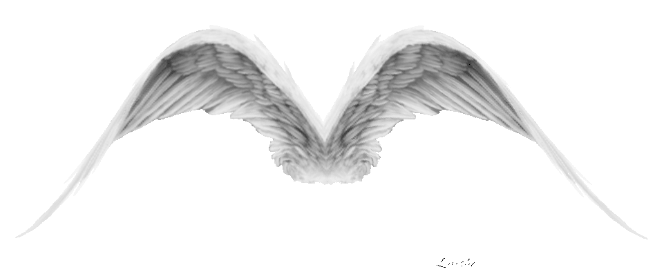 WINGS.gif