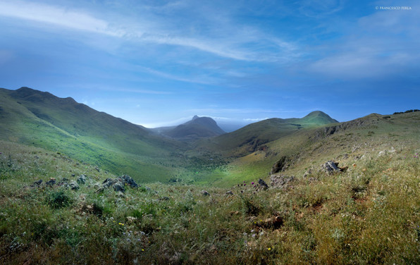 New-Panorama2.jpeg