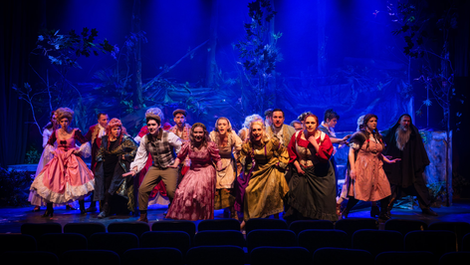 Into the Woods