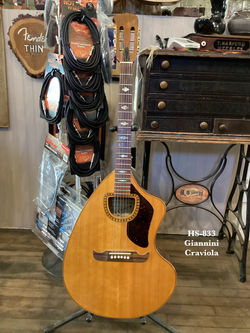 HS-833
