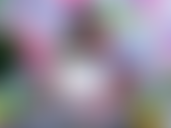 נלמד לצייר סוכיריות