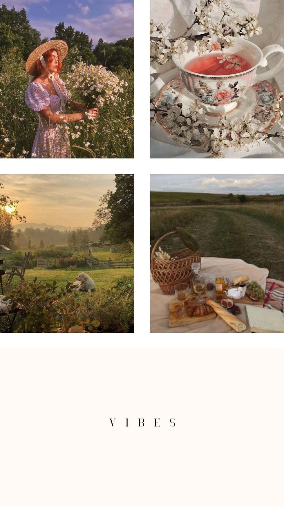 Feminine Beauty Photo Collage Mood Board Instagram Story (1)
