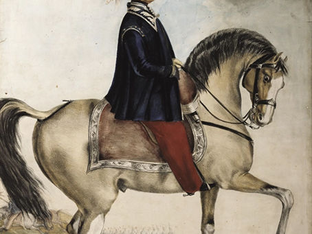 LA VACA DE MELO
ContraHistoria y mentiras.