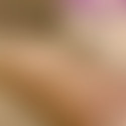 10 Grain Cereal Quick Bread