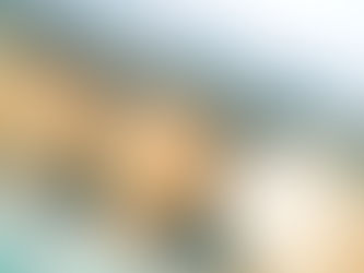 鶏卵中のオボムコイドの標的除去によるタンパク質発現制御に関する論文が掲載されました：2026-02-27