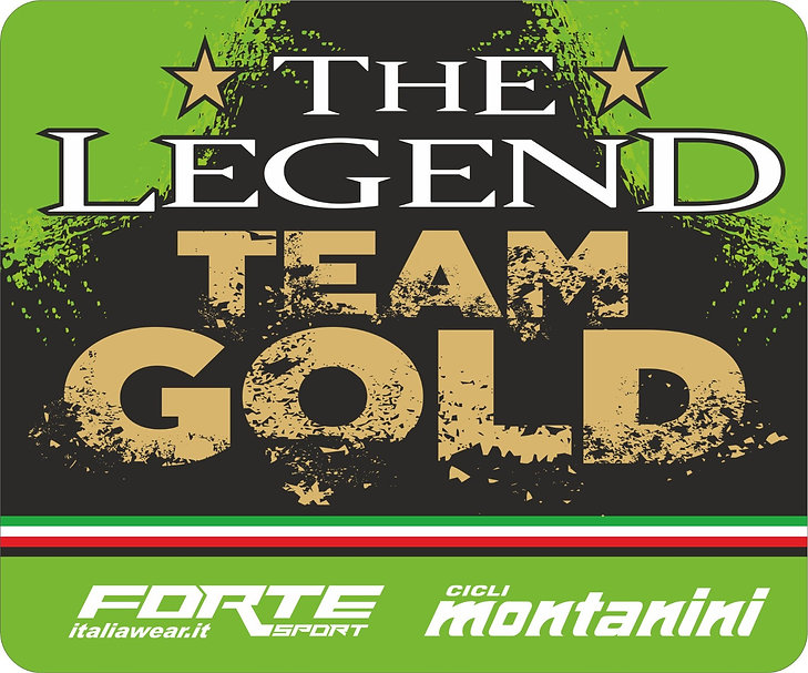 Pettorale Team Gold.jpeg
