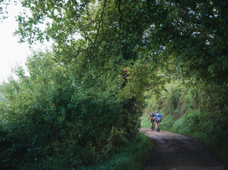 DSCF0761.jpg
