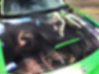 Charger Hood 7