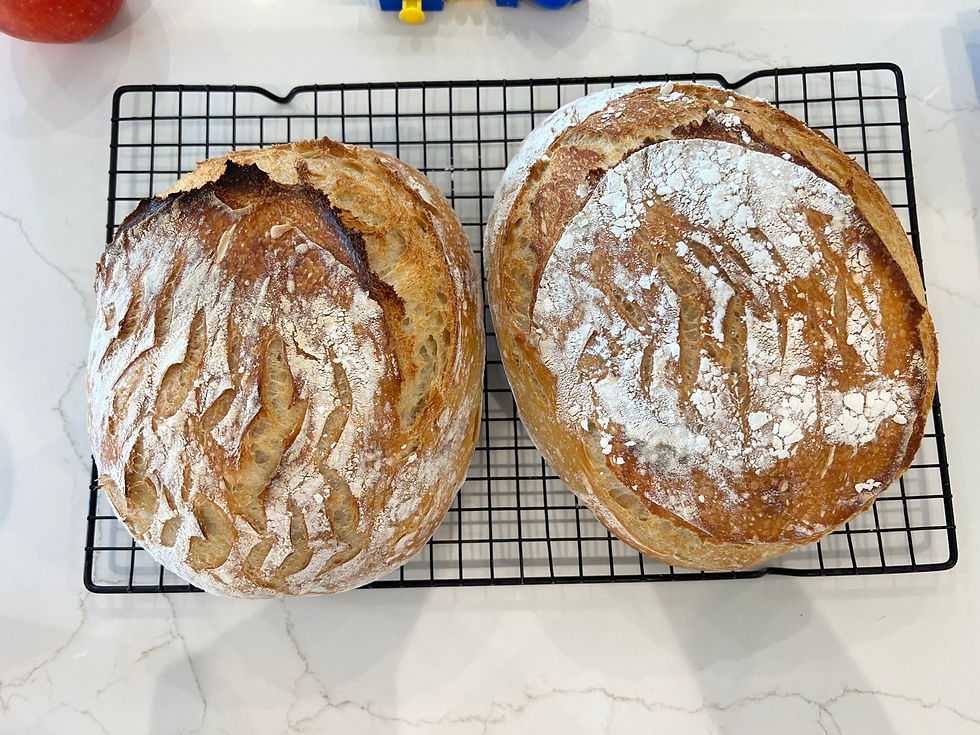 Thumbnail: Plainly-Phenomenal