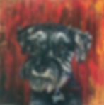Wilma