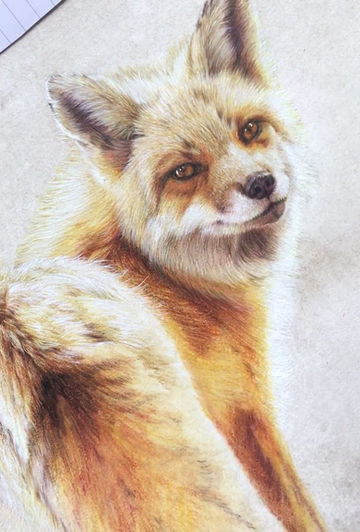 Thumbnail: Lapsa (FRAMED)