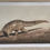 Thumbnail: Pangolin PRINT