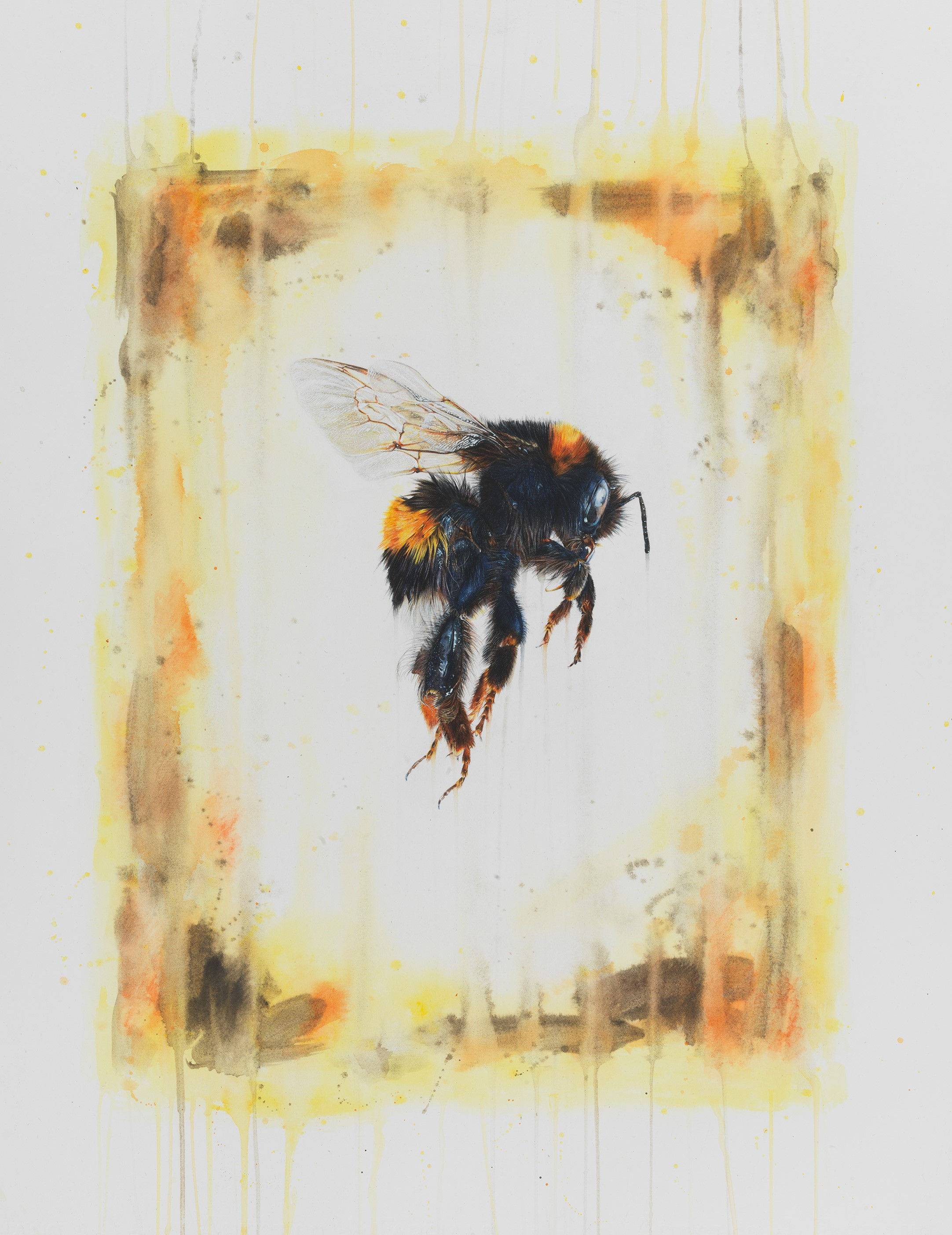 Plight of the Bumblebee