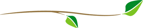 Custom landscaping Gradens Lawn