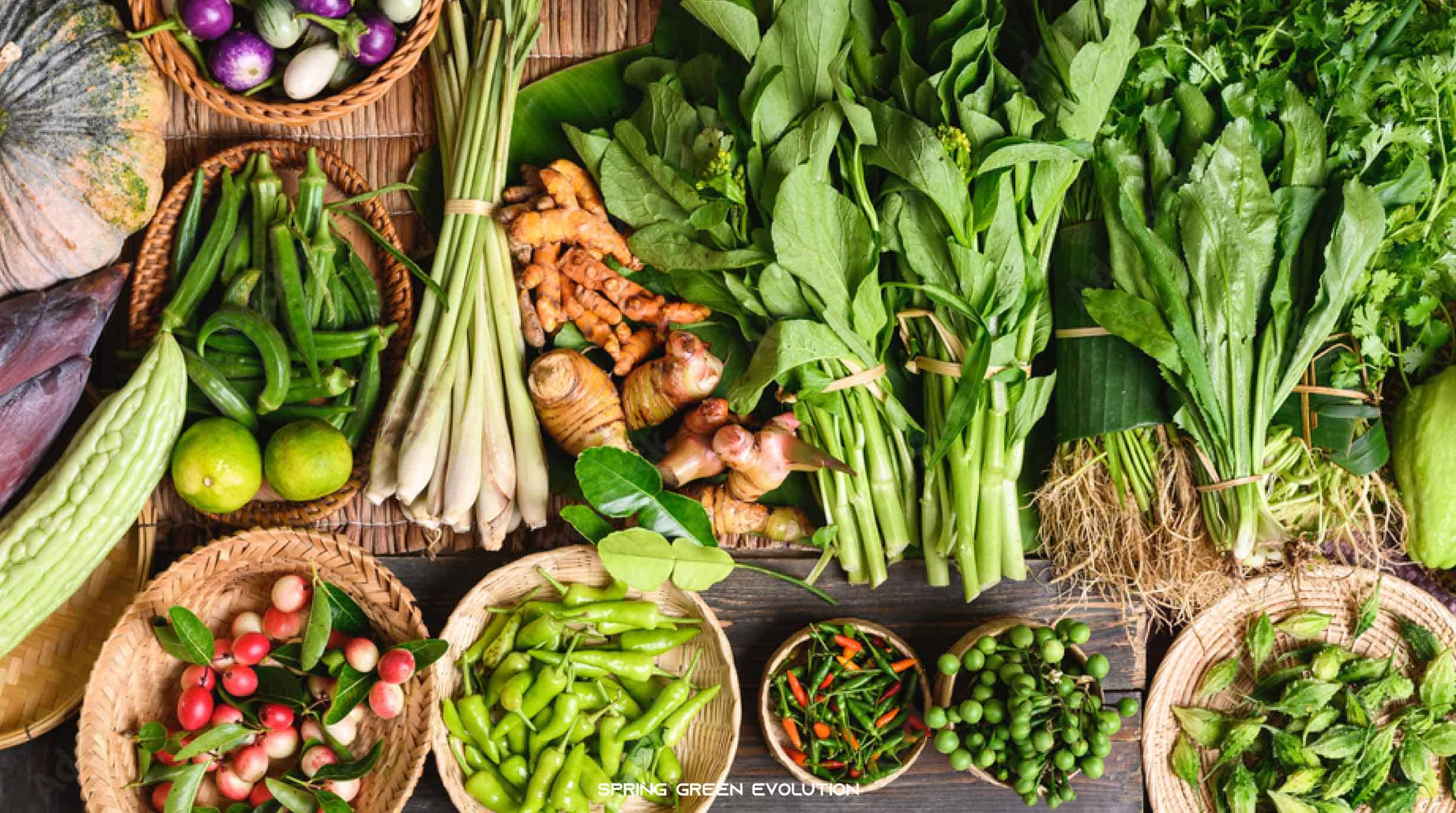 Arranged Food and Objects