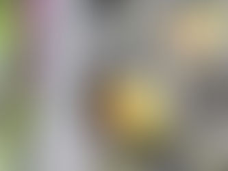 Femmage botanique, 2022