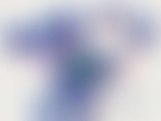 Drone Survey of Forest Land