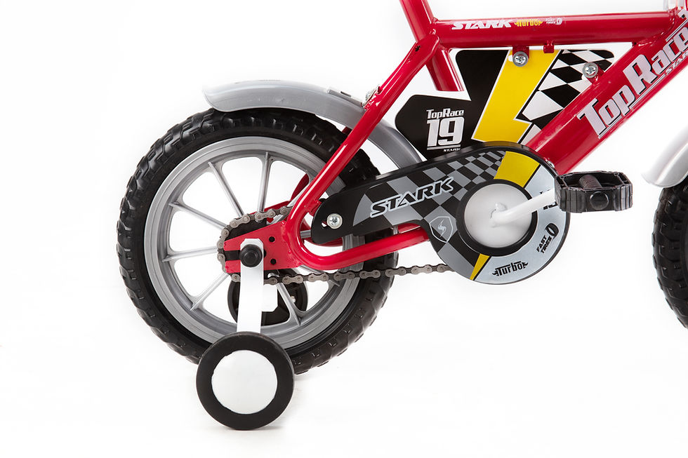 Miniatura: TOP RACE