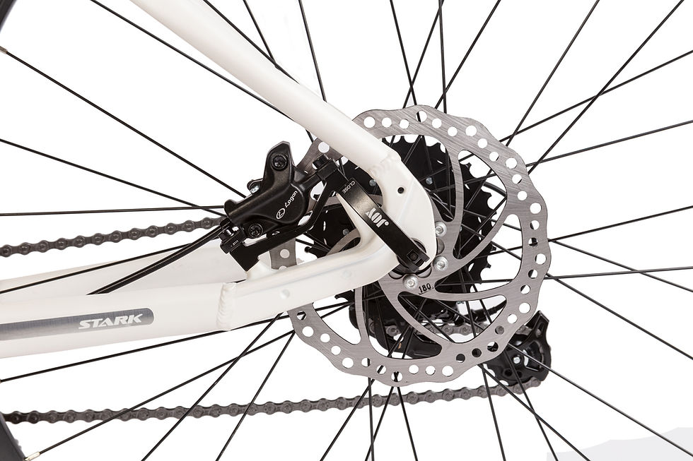 Miniatura: STRIVE 2.0
