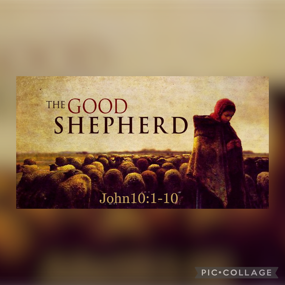 Sunday Morning Worship - 04/26/2026 - "The Good Shepherd" - 9AM Traditional Worship & 10:30AM Modern Worship