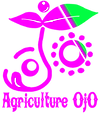 ojo8.png