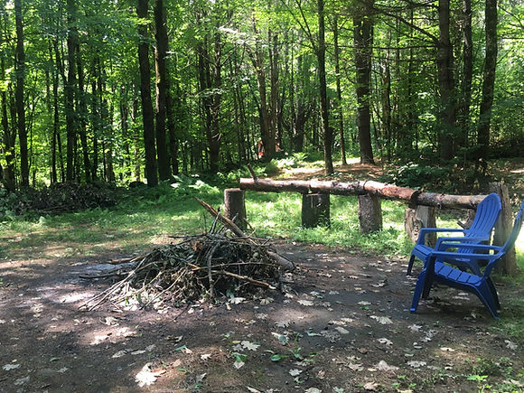 Woodhenge fire pit.jpeg