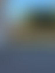 Outdoor Living for Empty Nesters: Designing for the Way Life Changes 