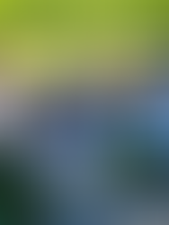 How Big Should a Patio Be? A Design Guide for Comfortable Gathering Spaces 