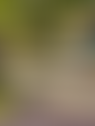 Why You Don’t Spend Time in Your Backyard (And How to Change That) 