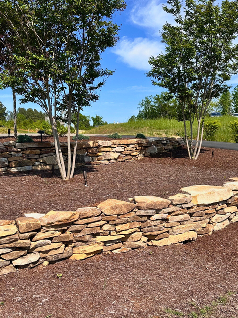 How to Improve Backyard Privacy Without Closing the Space In 