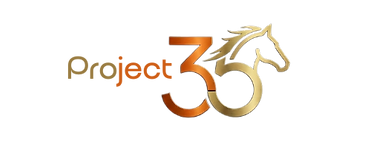 Project 35.png