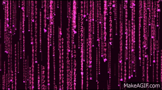 Pink_Matrix_stolen_from_Balanar2011_on_youtube.gif