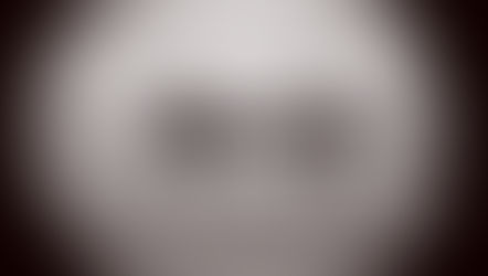 Dysphemism vs. Euphemism