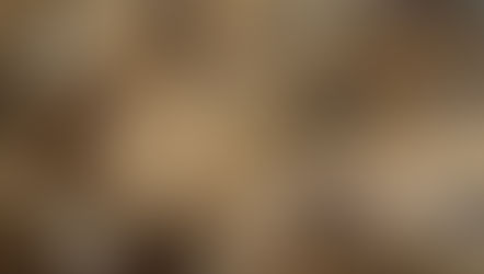 Logical Fallacies: Understanding and Identifying Them