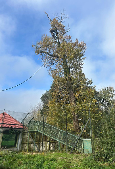 WhatsApp Image 2025-11-13 at 13.19.53_c1971e21.jpg