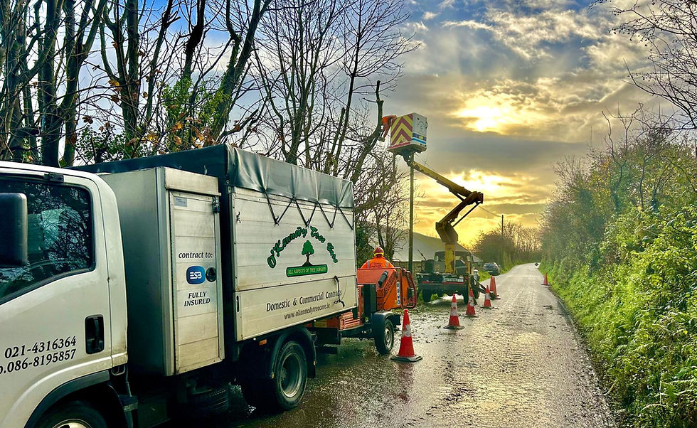 WhatsApp Image 2025-11-13 at 13.19.09_f155067e