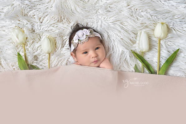 {meet Evelyn Rose} 3 weeks new | Chagrin Falls, OH Newborn Photographer