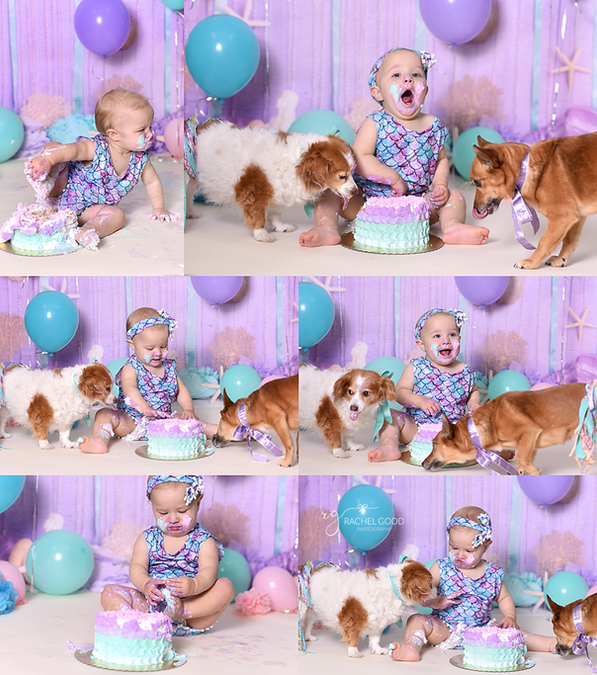 Mermaid Cake Smash with Paisley & her fur siblings
