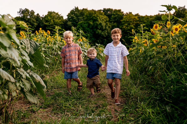 the Dillon Family - Medina Sunflower Farm 