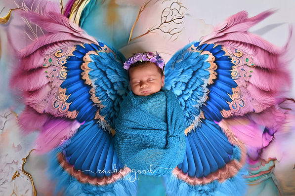 https://www.rachelgoodphotography.com/single-post/four-weeks-new-a-sweet-newborn-session-in-cleveland-ohio