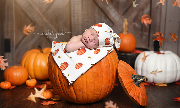 Meet Andrew. FYLC. Goodness newborn session, Berea, OH