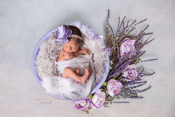 Welcoming Claire. 9 days new.