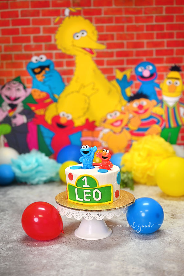 Sesame Street Cake Smash with Leo